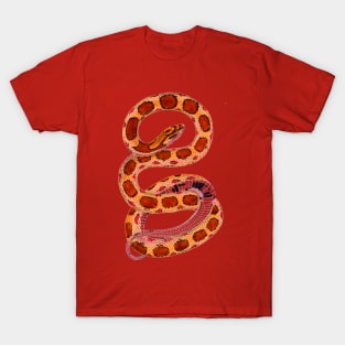 serpent,cobra,reptile,viper,venom,lizard,rattlesnake,king cobra,dragon,hydra,poison,venomous,plumber's snake,pythonidae,pythons,auger,python,squamata,serpentine,worm,big,ophidian,rattlesnakes,medusa,snakebite T-Shirt